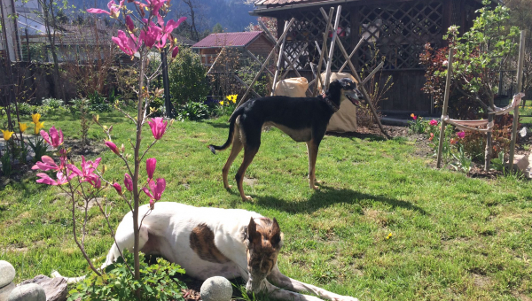 Heute haben wir wirklich super News